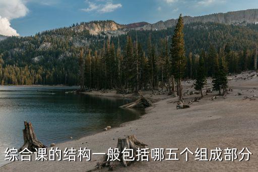 综合课的结构一般包括哪五个组成部分