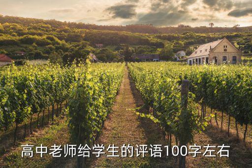 高中老师给学生的评语100字左右