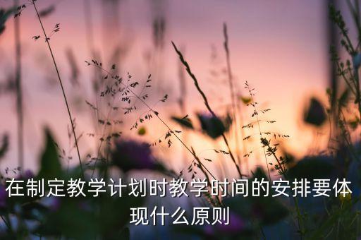 在制定教学计划时教学时间的安排要体现什么原则