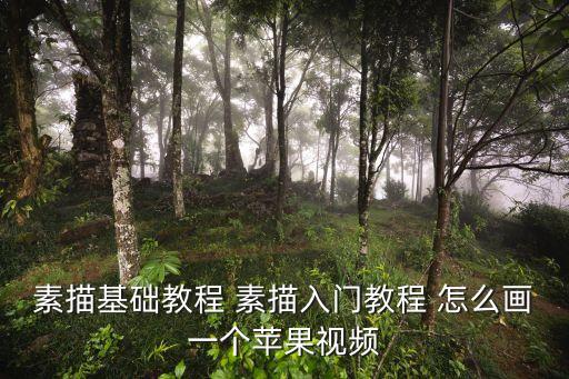 素描基础教程 素描入门教程 怎么画一个苹果视频