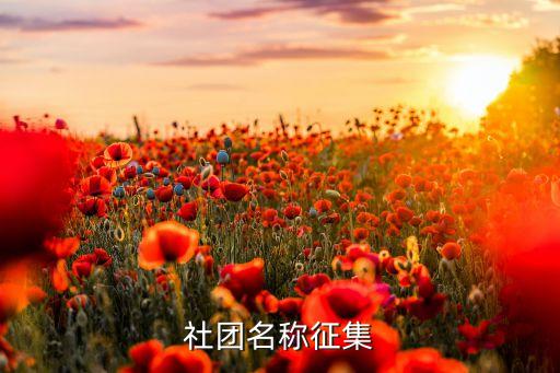 社团课题名称大全，请大家帮忙社团活动名称