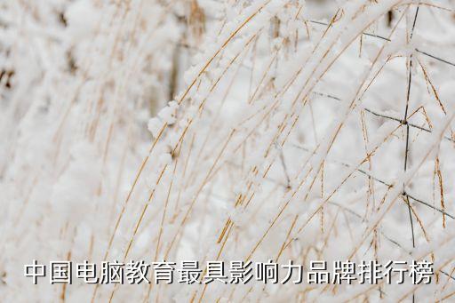 中国电脑教育最具影响力品牌排行榜