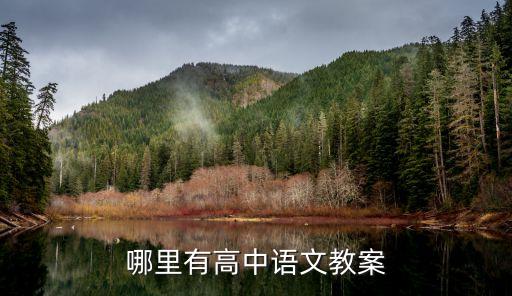 高中语文教案全集，求人教版初高中语文教案