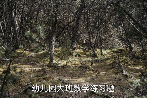 幼儿园大班数学练习题