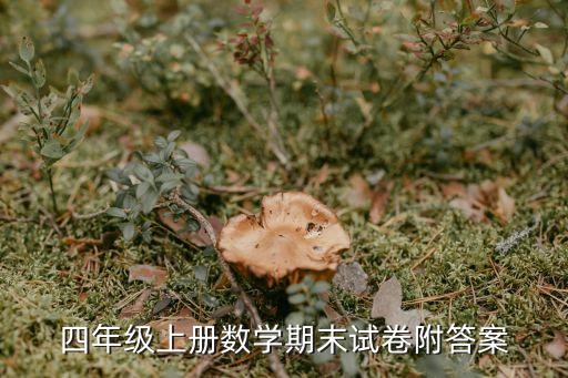 四年级上册数学卷子期末，求小学四年级上册数学题