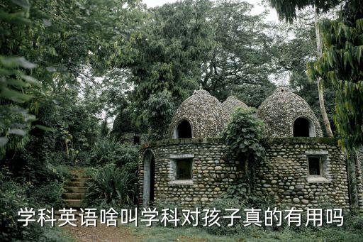 学科英语啥叫学科对孩子真的有用吗