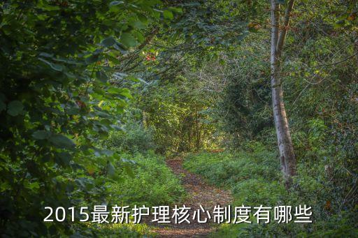2015最新护理核心制度有哪些