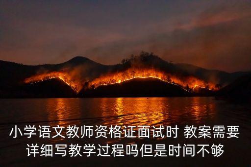 小学语文教师资格证面试时 教案需要详细写教学过程吗但是时间不够