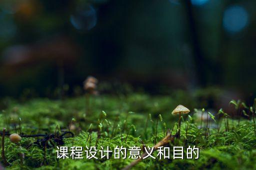 课程设计的意义和目的