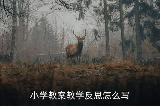 小学教案教学反思怎么写