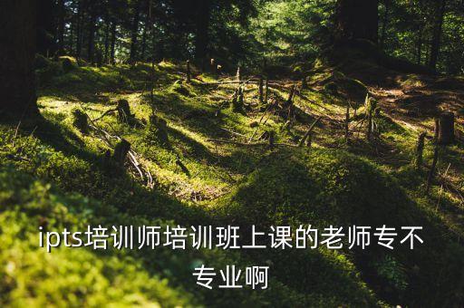 ipts培训师培训班上课的老师专不专业啊