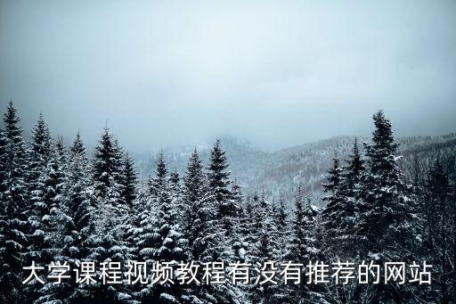 课程教学平台网，推荐几个小学生课程在线学习的免费网站给孩子买了个电脑想让