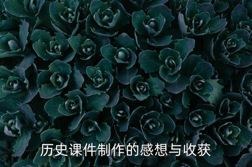 历史课件制作的感想与收获