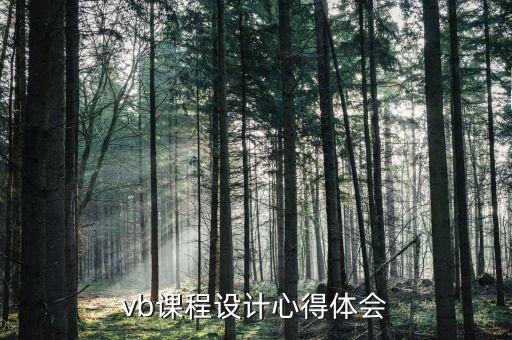 vb课程设计心得体会