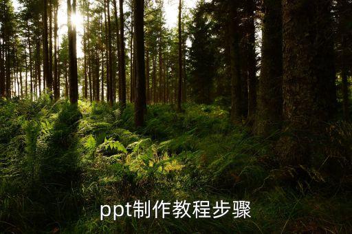 ppt基本制作流程，ppt的制作过程是什么