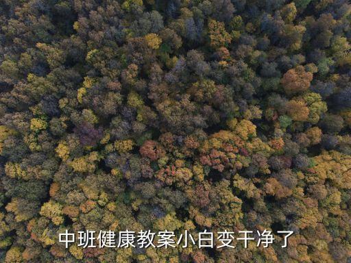 中班健康教案小白变干净了
