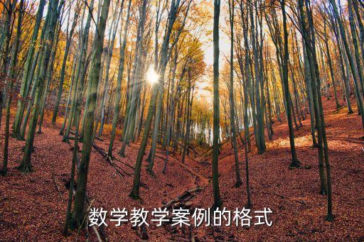 数学教学案例的格式