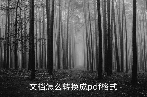 文档转换，电子文档格式转换