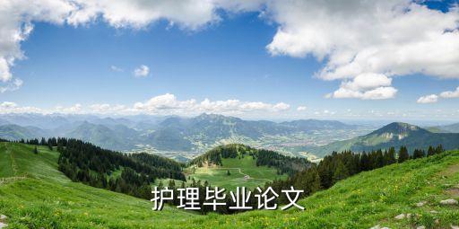 护理毕业论文