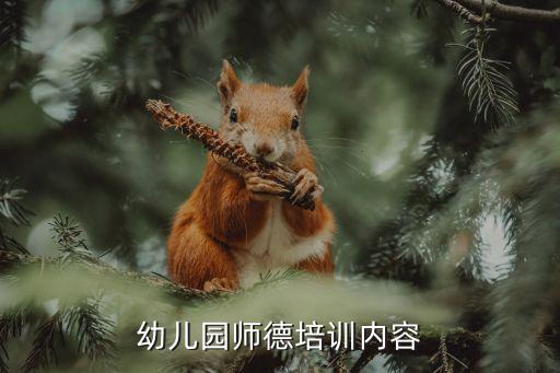 幼儿园师德培训内容