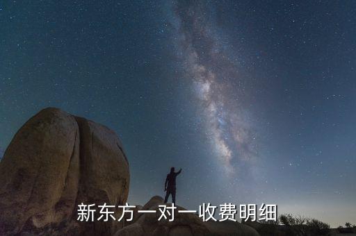 新东方一对一收费明细