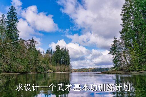 求设计一个武术基本功训练计划