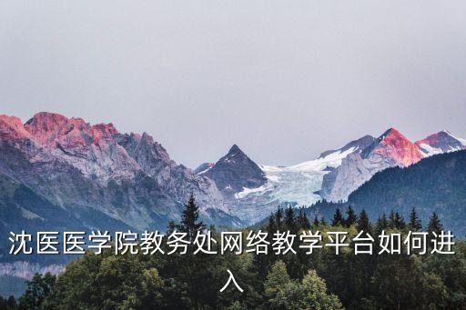 沈医医学院教务处网络教学平台如何进入