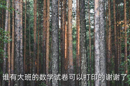谁有大班的数学试卷可以打印的谢谢了