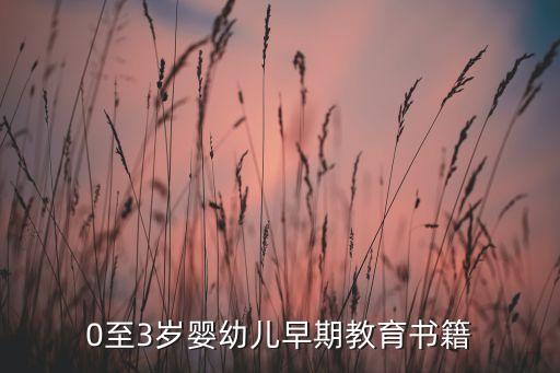 0至3岁婴幼儿早期教育书籍