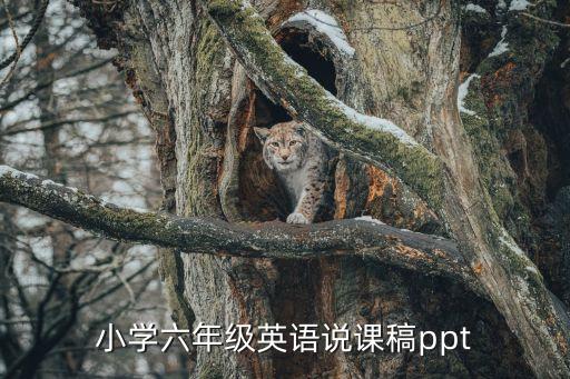 小学六年级英语说课稿ppt