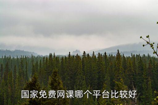 国家免费网课哪个平台比较好