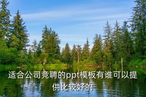适合公司竞聘的ppt模板有谁可以提供比较好的