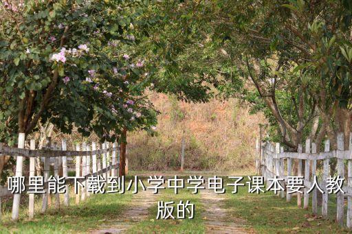 哪里能下载到小学中学电子课本要人教版的