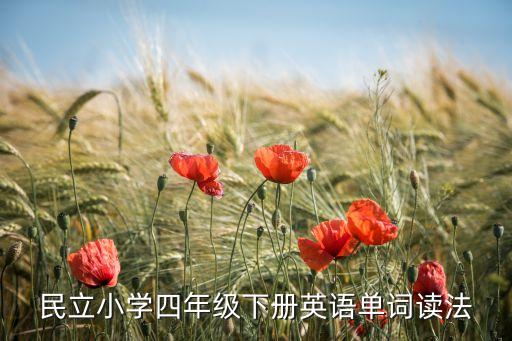 民立小学四年级下册英语单词读法