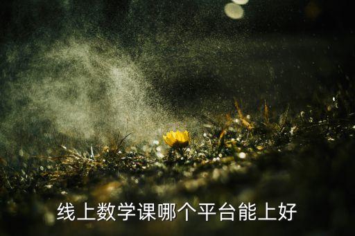 线上数学课哪个平台能上好