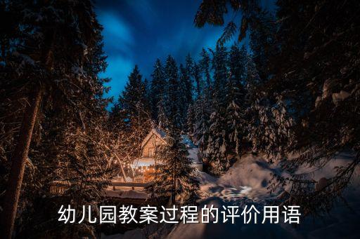 教案检查记录表评语，幼儿园教案过程的评价用语