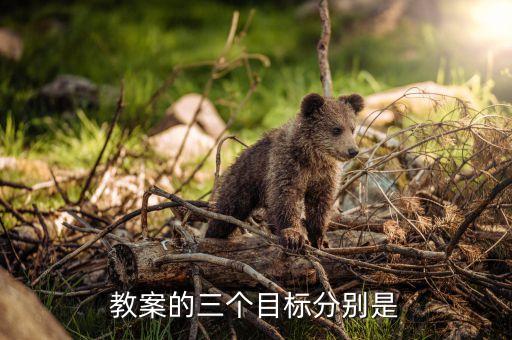 教案的三个目标分别是