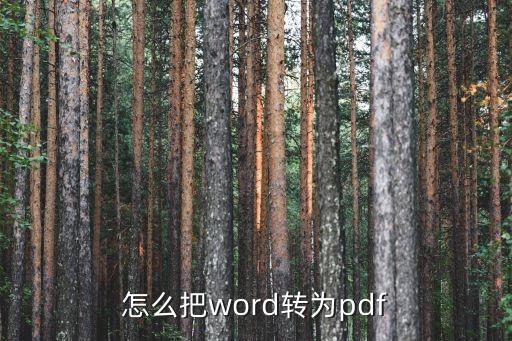 怎么把word转为pdf