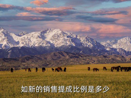 如新的销售提成比例是多少