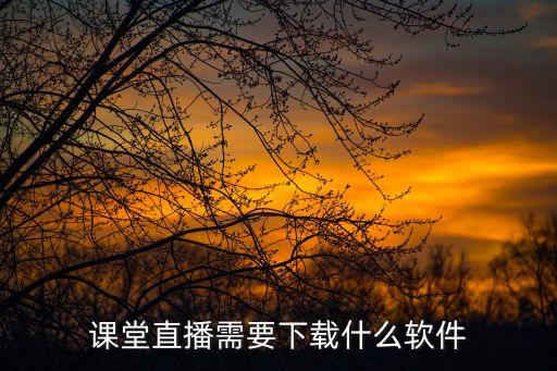 课堂直播需要下载什么软件