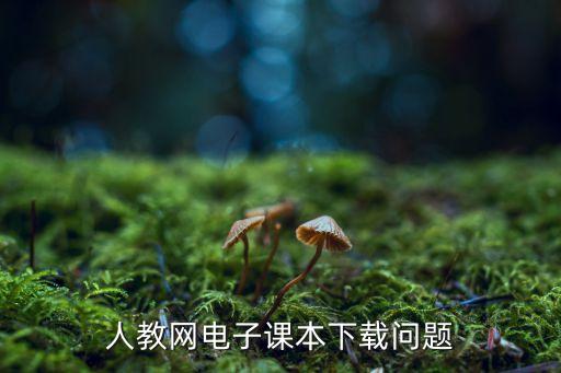 人教网电子课本下载问题