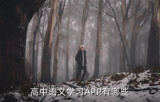 免费高中网课平台语文，在网上学习高一语文要免费的