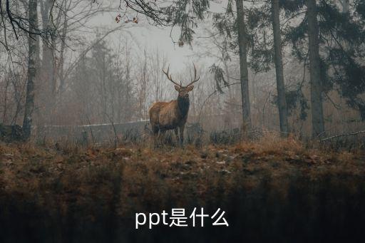 PPT知识，ppt是什么