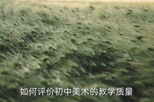 如何评价初中美术的教学质量