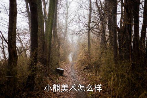 小熊美术怎么样