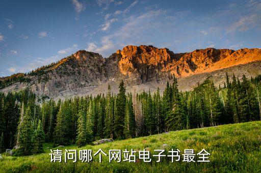 请问哪个网站电子书最全