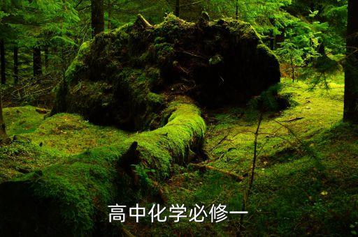 高一化学教案必修一，高中化学必修1教案