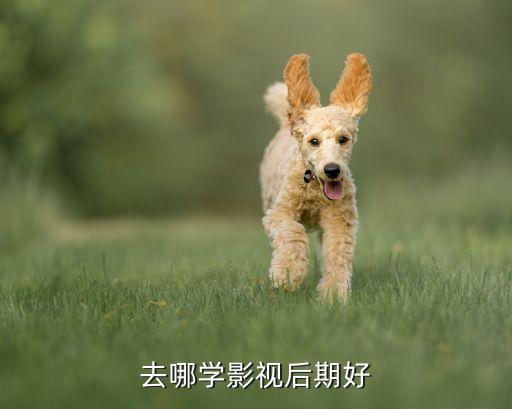 去哪学影视后期好