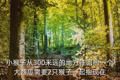 小猴子从300米远的地方往回抬一个大西瓜需要2只猴子一起抬现在