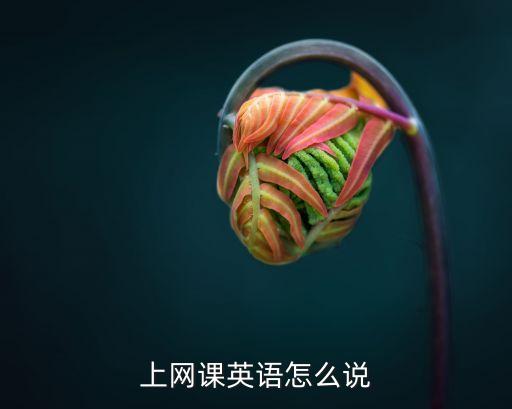 上网课英语怎么说